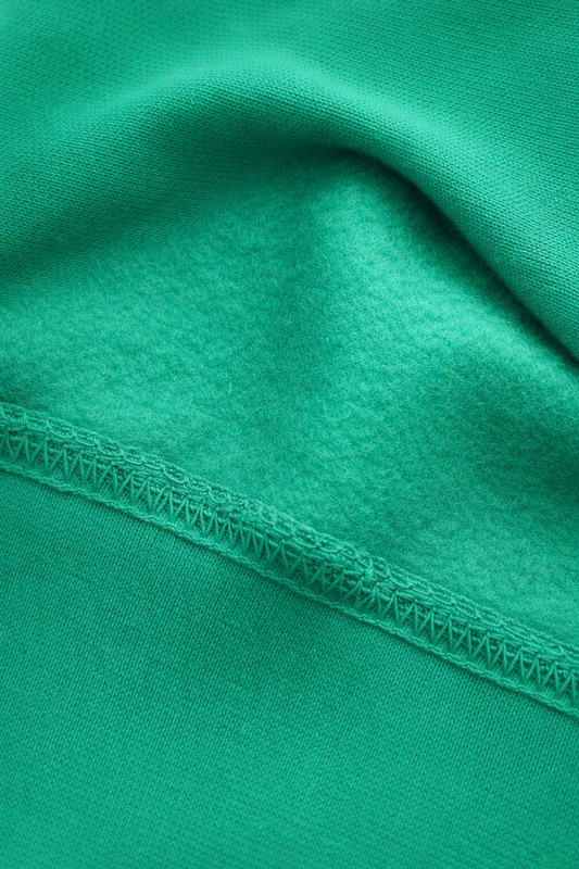 Kinder Sweatshirt Easter Dino aus Baumwolle Grün