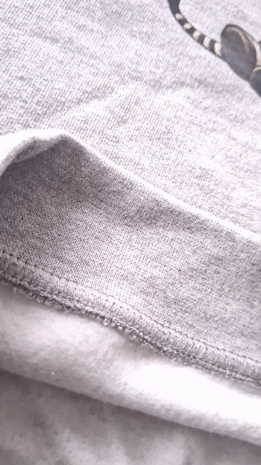 Kinder Sweatshirt Zebra Hellgrau