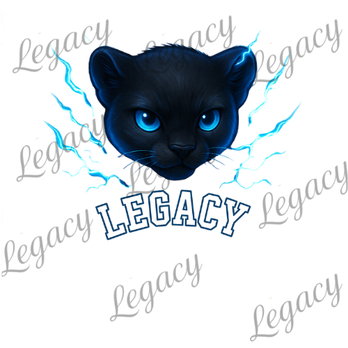 Black Panther Dunkel Blau -Kinder Sweatshirt-Hochwertiger DTF Print/Weiche Baumwolle 104-128 - Adi-Alex-Legacy